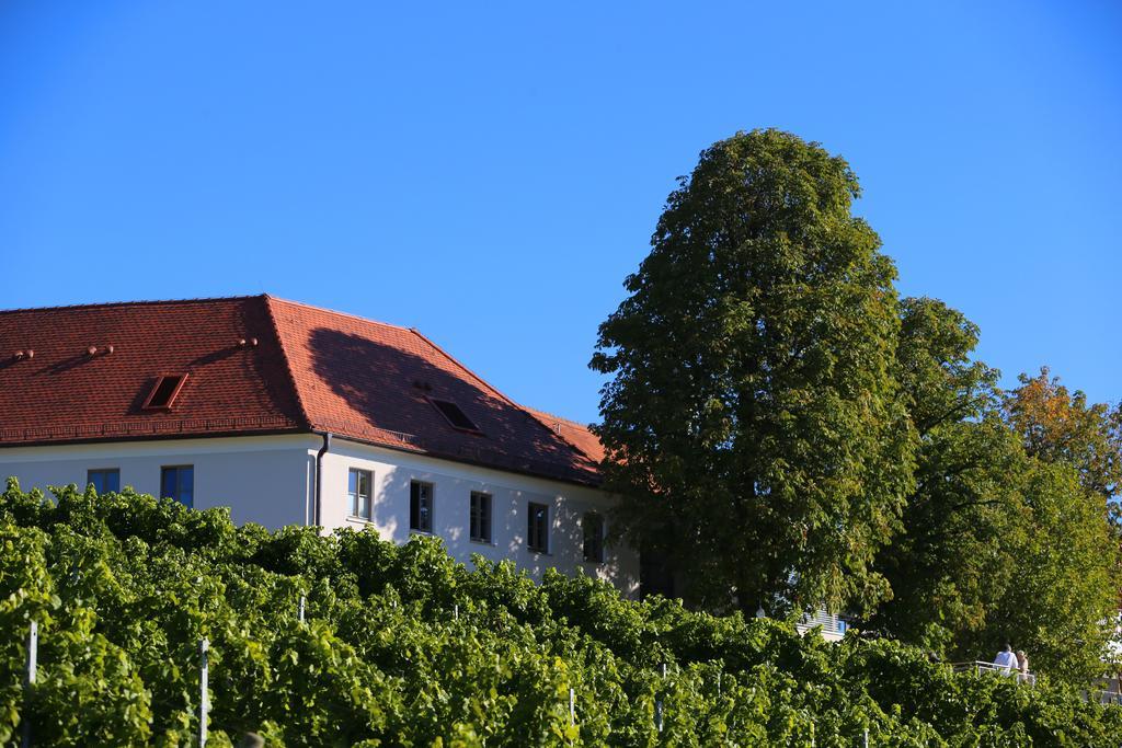 Hotel Vogelsburg Escherndorf Exterior foto