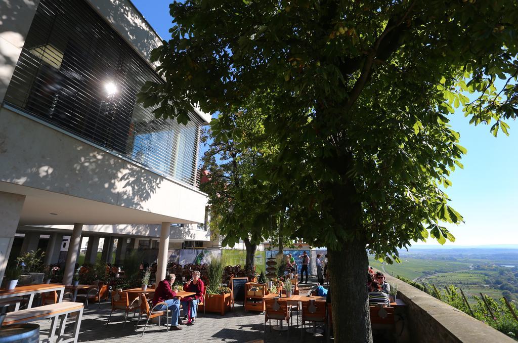 Hotel Vogelsburg Escherndorf Exterior foto